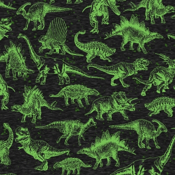 RESTSTÜCK 1m SOFTSHELL Dinoparty Muster grün   Stoffduo Eigenproduktion