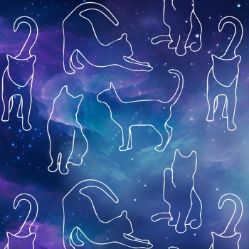 VORBESTELLUNG Katzenliebe Muster auf Galaxy Jersey Stoffduo Eigenproduktion
