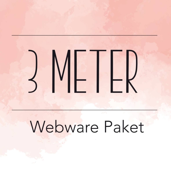 Webware Paket 3m